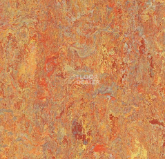 Линолеум Forbo Marmoleum Decibel on Order 340335 Asian tiger фото 1 | FLOORDEALER